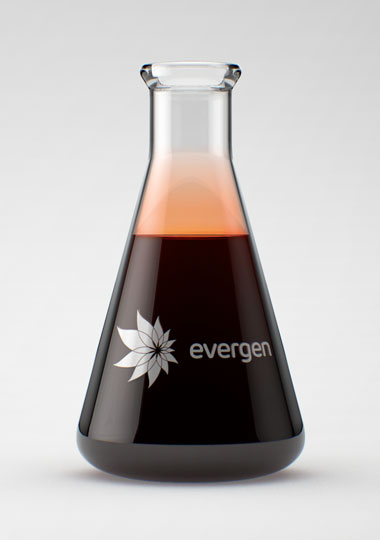 Evergen 380x540 01