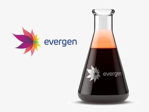 Evergen thumb 02