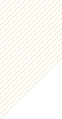 Gr line 01